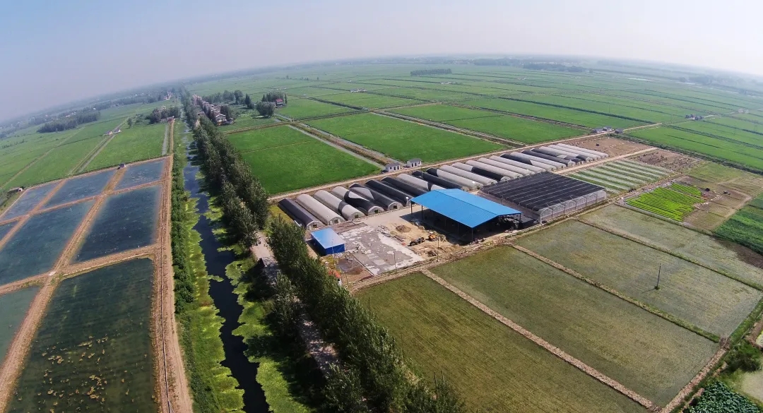 640.webp (4).jpg 640.webp (4).jpg